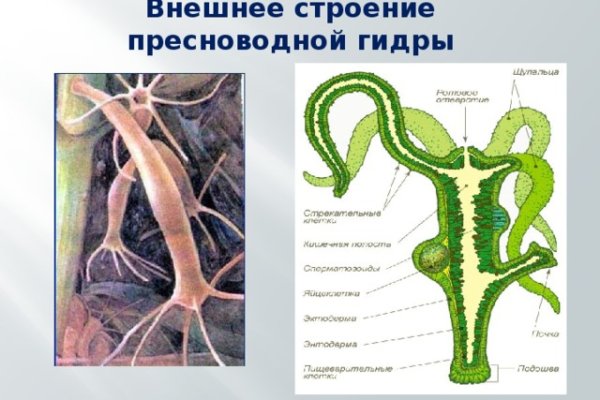 Реальные ссылки кракен