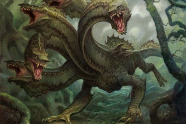 Kraken маркет whitenet только через tor
